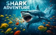 Shark Adventure