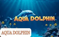Aqua Dolphin