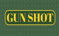 Gun Shoot HD