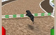 Crazy Real Dog Race game thumbnail