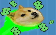 Yolo Dogecoin 