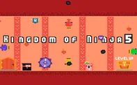 Kingdom of Ninja 5