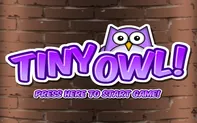 Tiny Owl