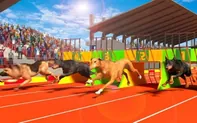 Dog Run 3D game thumbnail