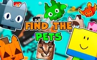 Find the Pets