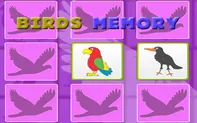 Kids Memory Game - Birds