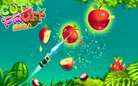 Cut Fruit Ninja