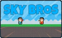 Sky Bros game thumbnail
