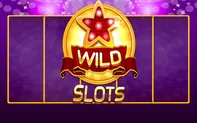 Wild Slot