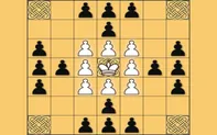 Tafl: viking chess
