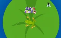 Catch the Fly