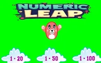 Numeric Leap