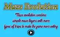 Maze Evolution