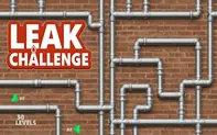 Leak Challenge