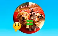 Round Jigsaw Puzzle Collect Pictures with Cute Puppies