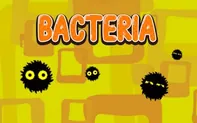 Bacteria