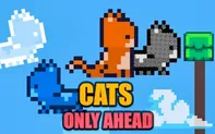 Cats Only Ahead