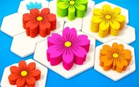 Flower Hexa Puzzle