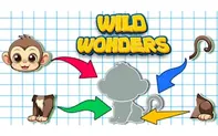 Wild Wonders