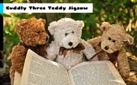 Cuddly Three Teddy Jigsaw