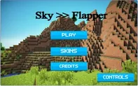 Sky Flapper
