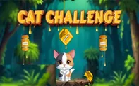 Cat Challenge