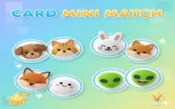 Card Mini Match