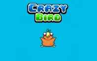 Crazy Bird
