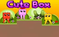 Cute Box