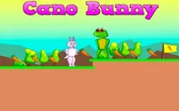 Cano Bunny