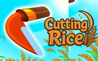 Cutting Rice