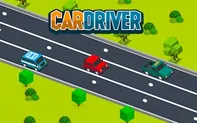 Car Driver