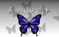 A Butterfly