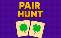 Pair Hunt