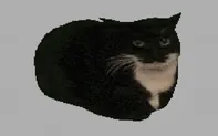 Spinning Cat Clicker game thumbnail