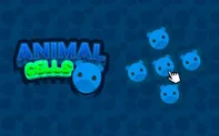 Animal Cells