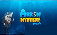 Arrow Mystery Puzzle
