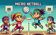Micro Netball