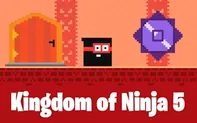 Kingdom of Ninja 5
