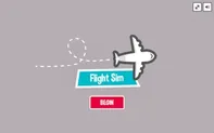Flight Sim Pro